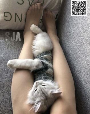 我们结婚了精灵夫妇全集