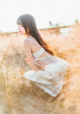 女律师的堕落在线观看