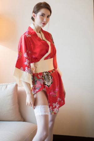 87版红楼梦 日本