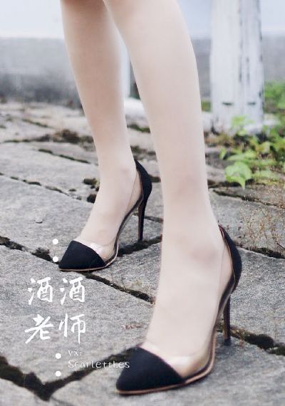 狐狸的第二季免费播放