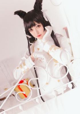 会计刺客电影高清完整版在线观看