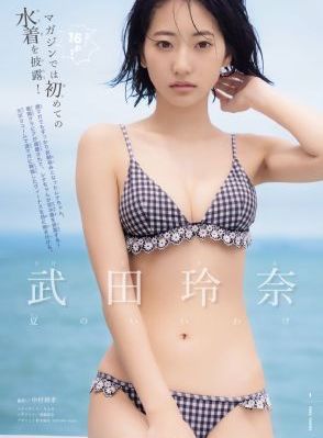 与君歌免费观看完整版电视剧全集