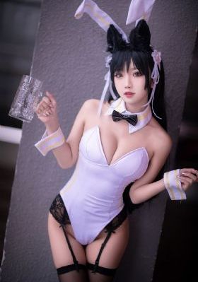 双凤奇案